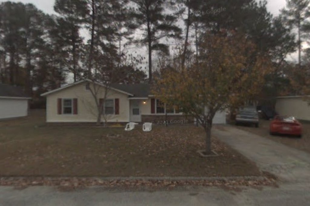 Weil Coyote Siberian Husky Large Breed Rescue