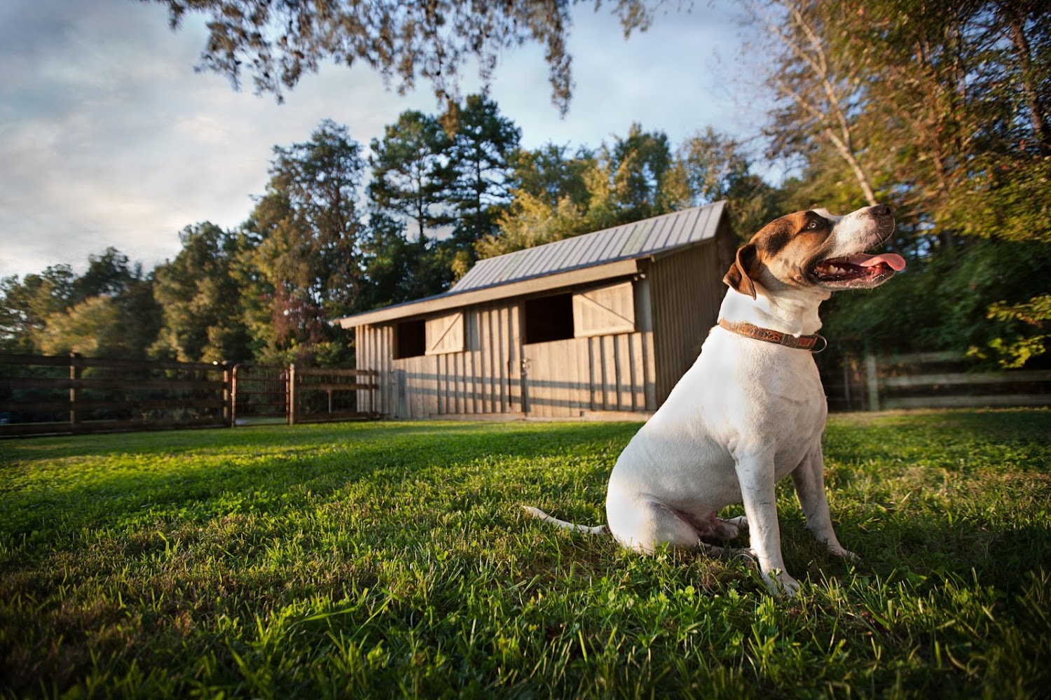 Animal Protection Society of Orange County