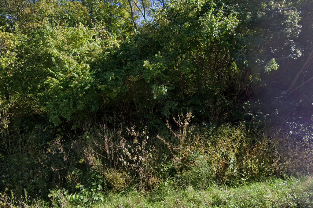 Care Coalition for Animals