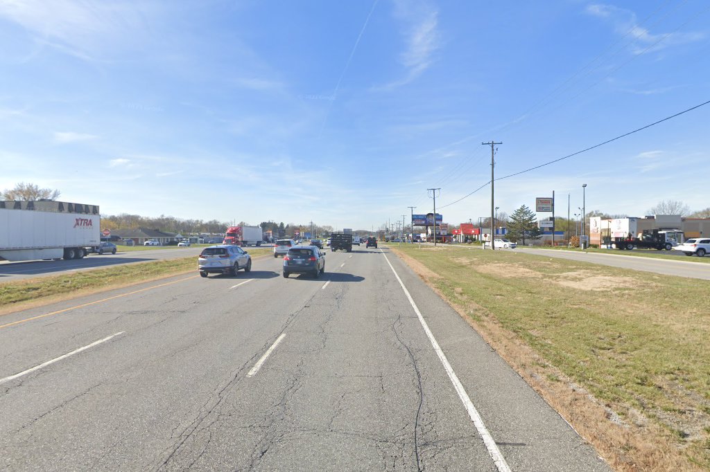 Holiday Cat Sanctuary