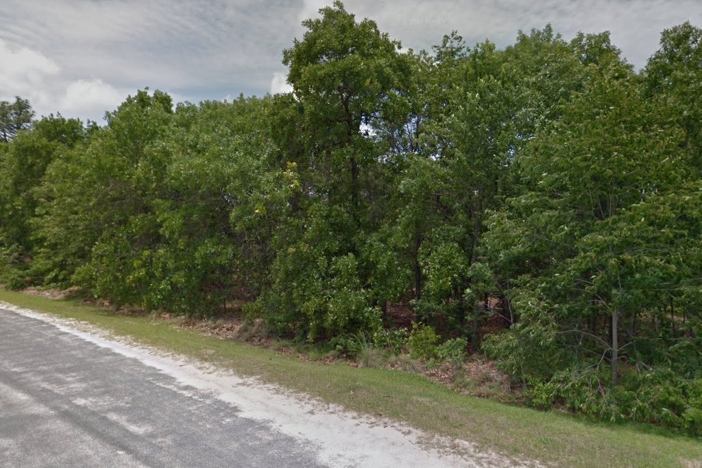 Rockingham Animal Control