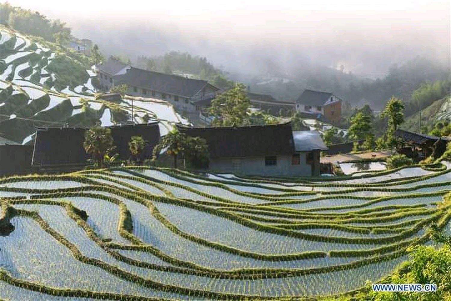 Animal Control Shelter