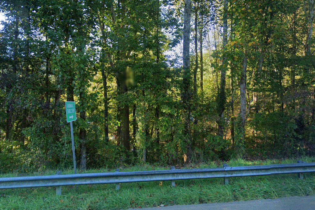 Marble Animal Shelter