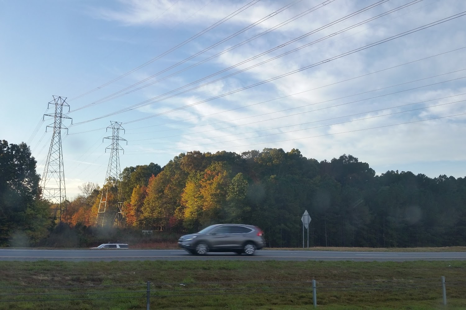 Matthews Town Animal Control