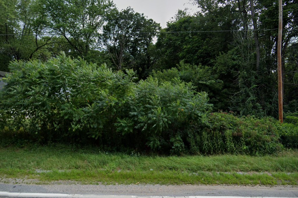 All Creature Features Animal Hospital