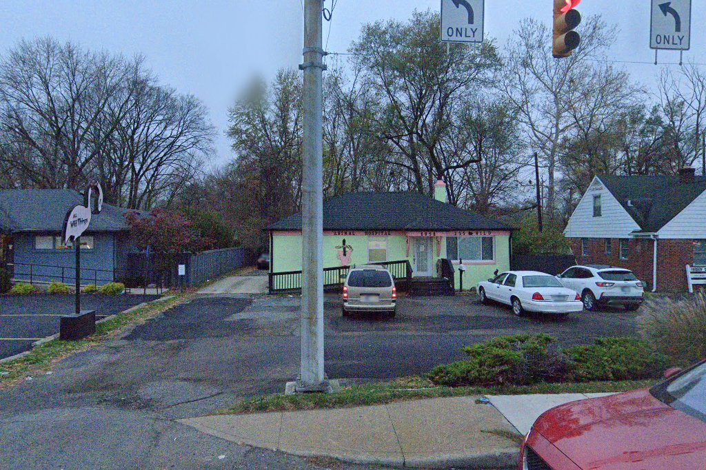 All Wild Things Exotic Animal Hospital