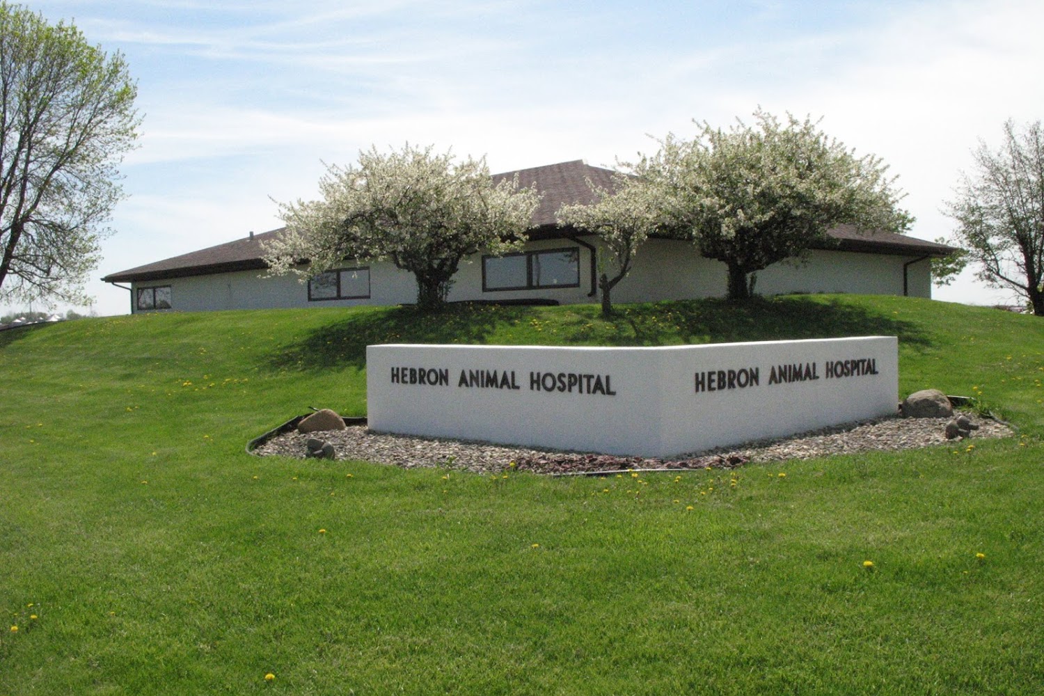 Hebron Animal Hospital