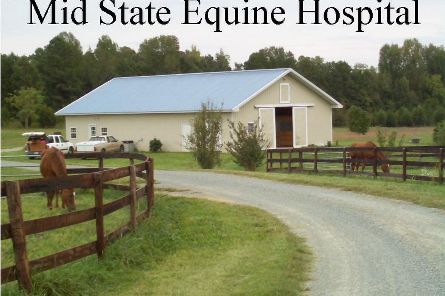 Mid State Equine Hospital