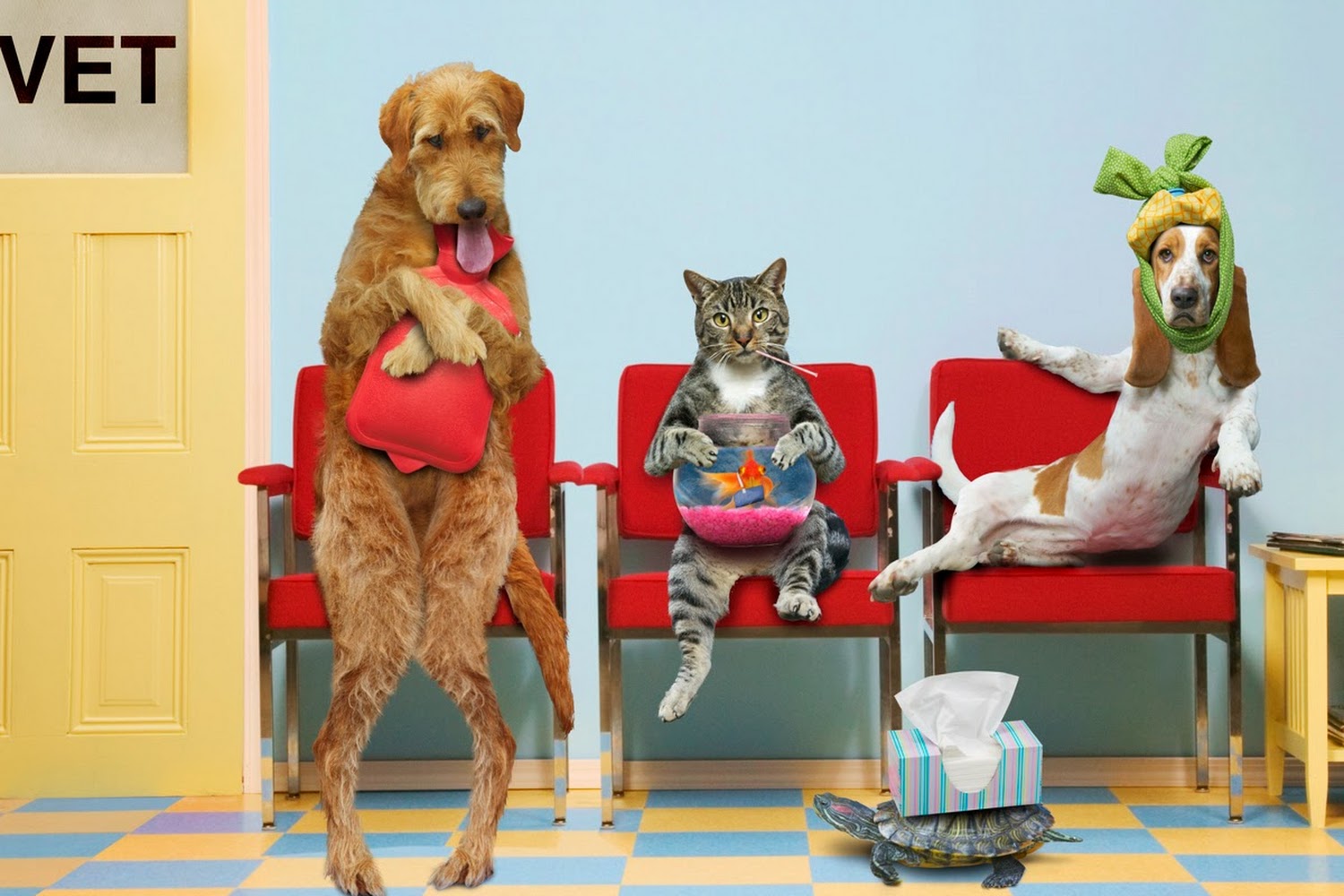 Oriental Village Veterinary Hospital