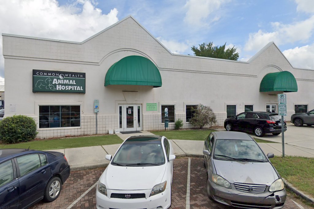 Commonwealth Animal Hospital