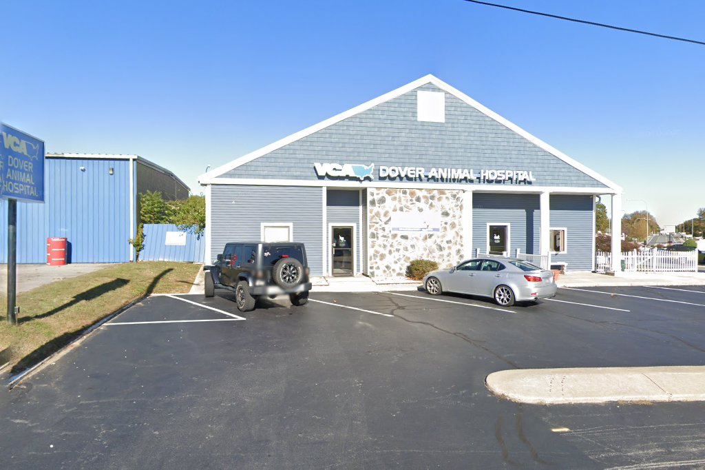 Dover Animal Hospital