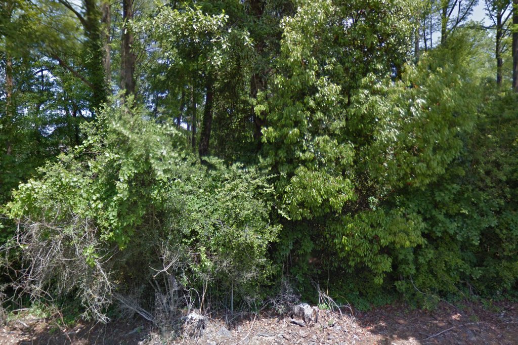 Moss Bluff Animal Hospital