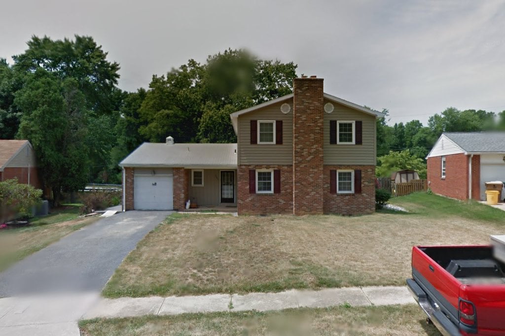 National Brittany Rescue and Adoption Network