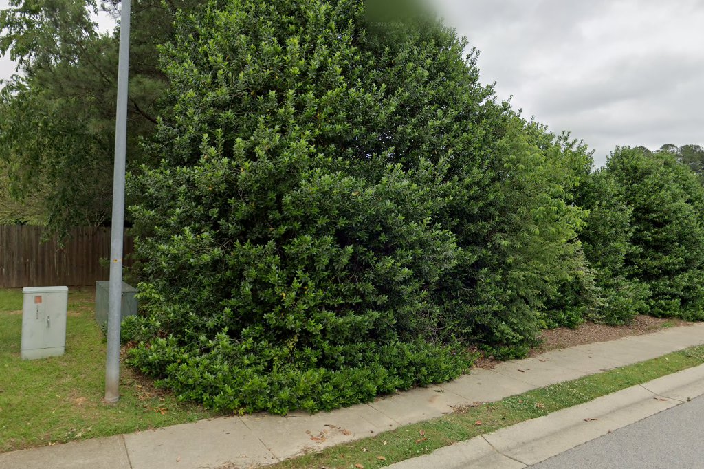 Holly Springs Veterinary Hospital