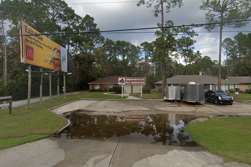 Brownswitch Pet Hospital