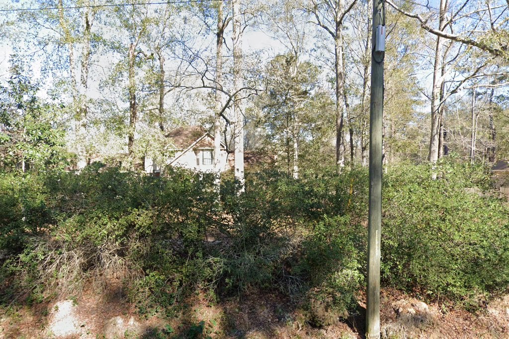 Greyhound Pets of America