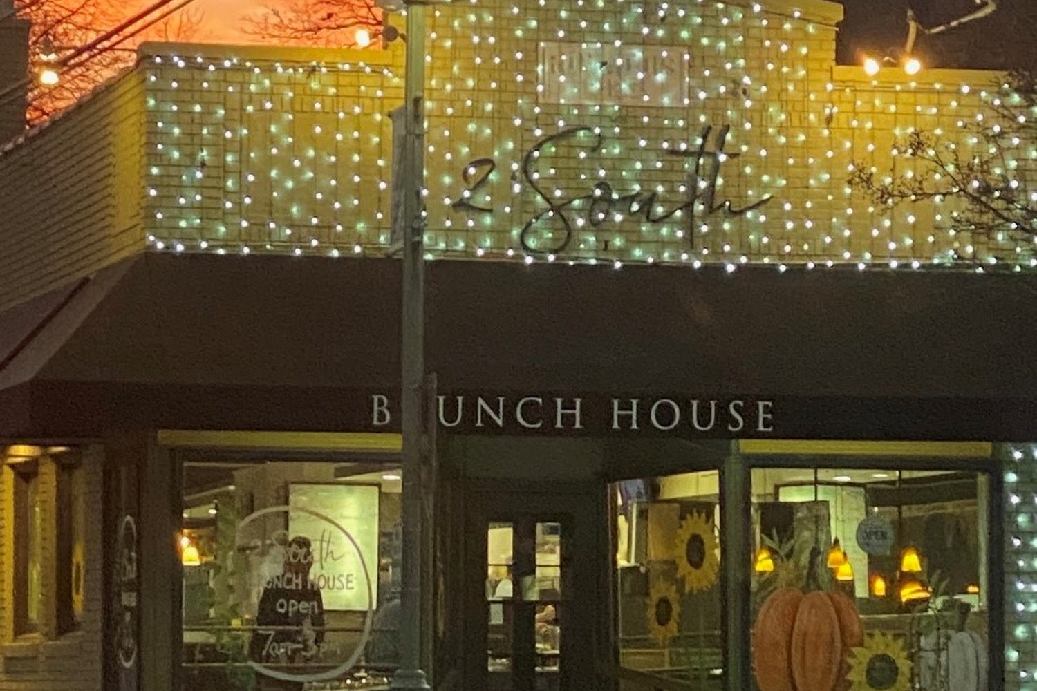 Canine Companion Rescue Center