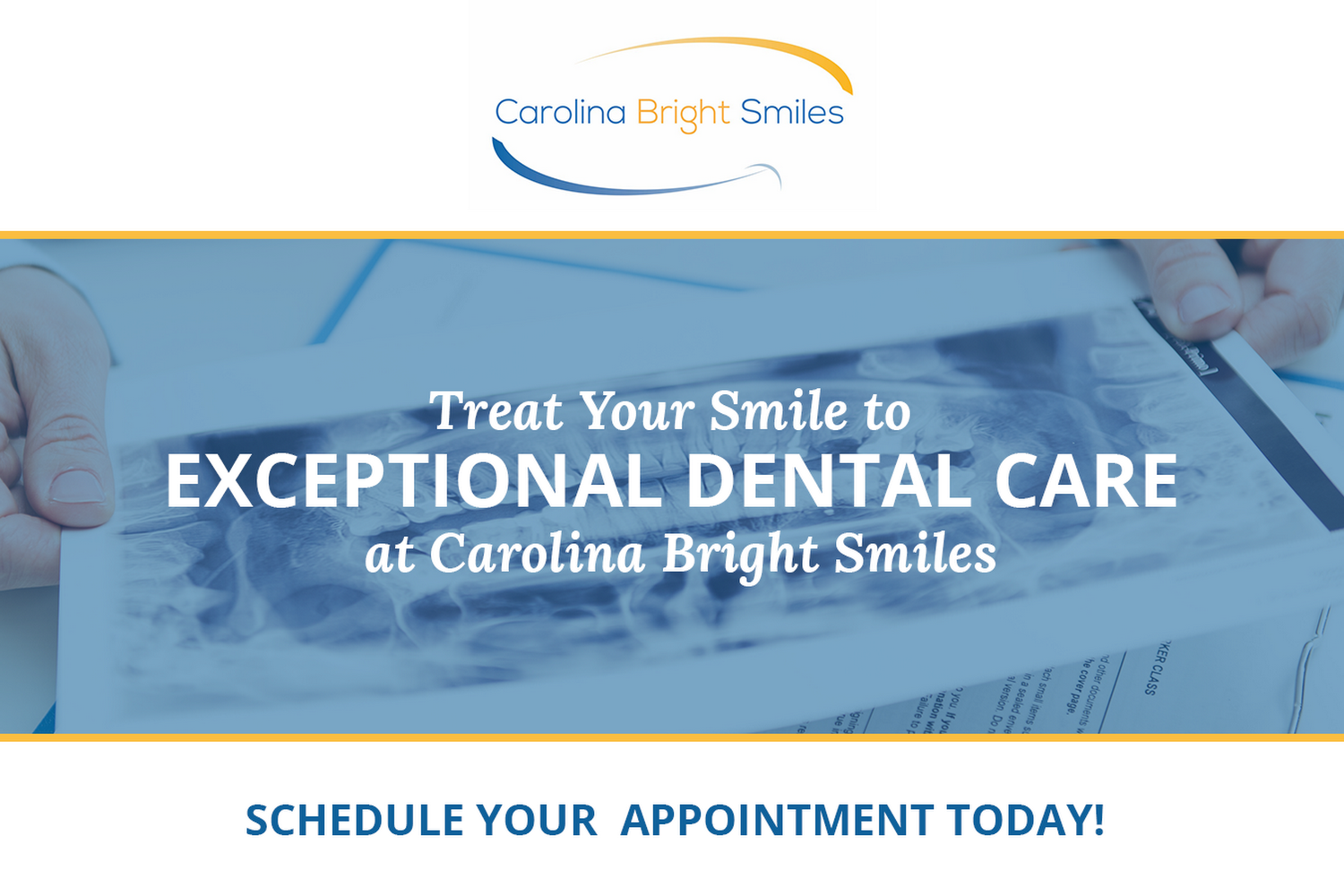 Healing Paws Veterinary Hospital