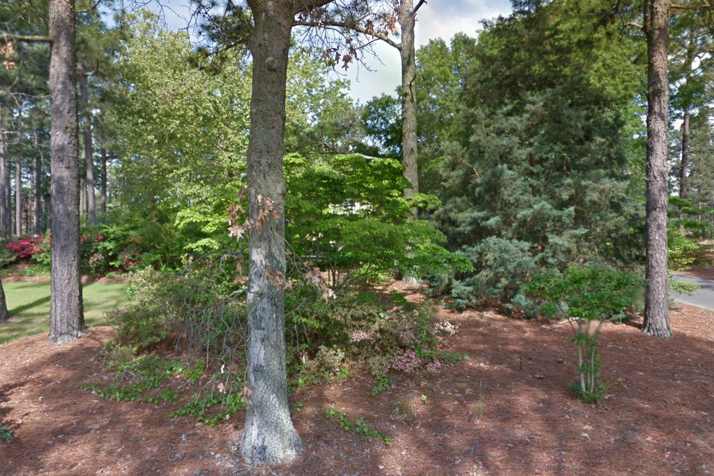 Sandhill Veterinary Hospital