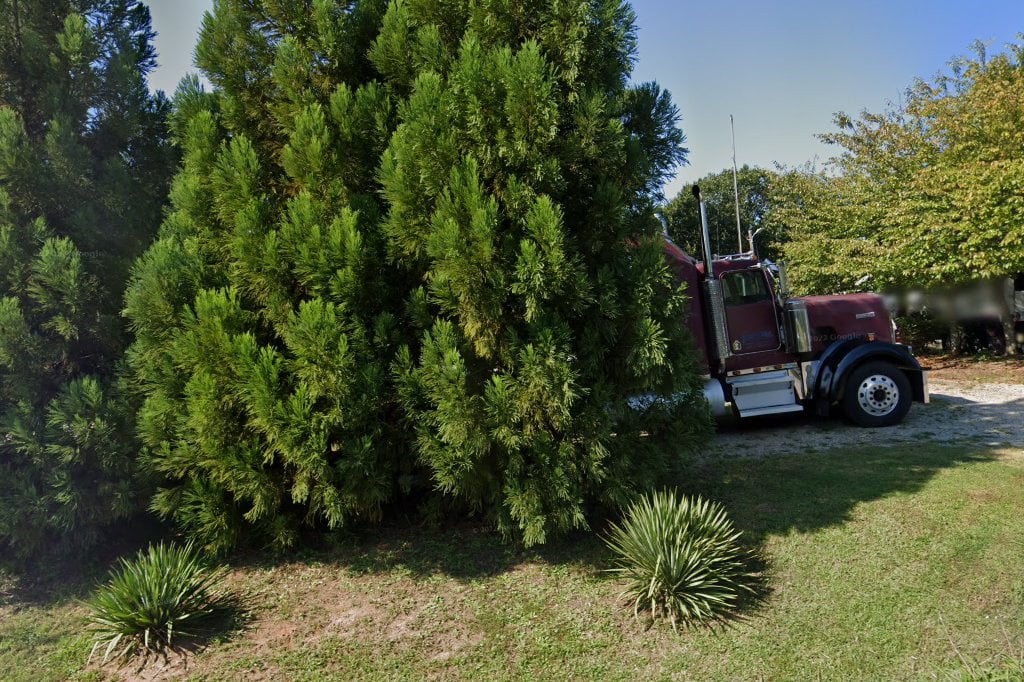 Lake Norman Rottweiler Rescue