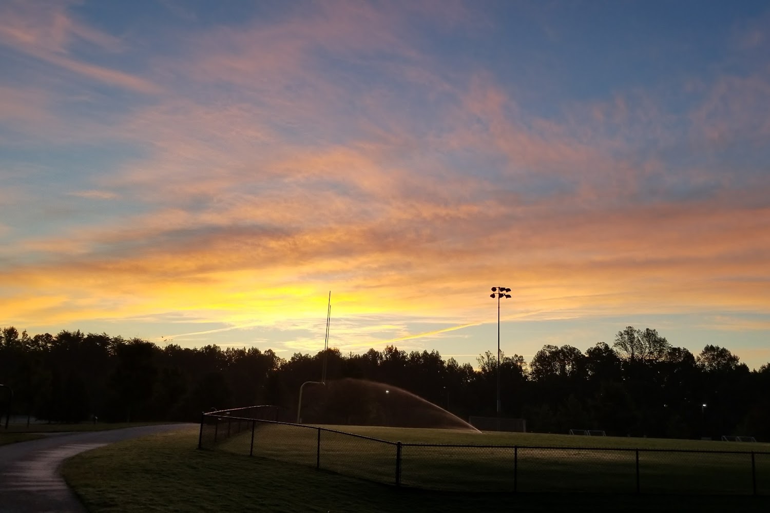 Greyhound Friends of Nc