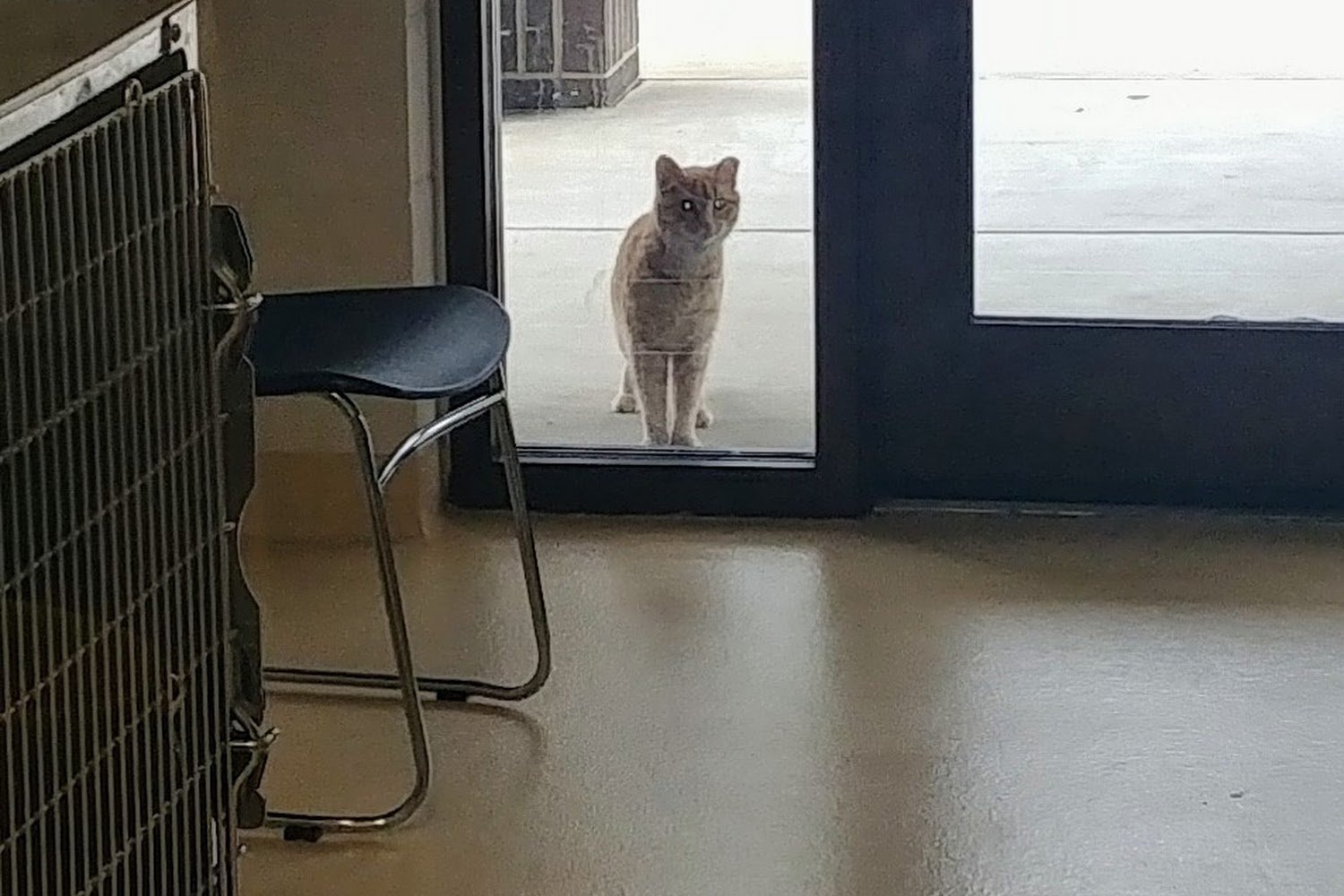 Cumberland County Animal Control