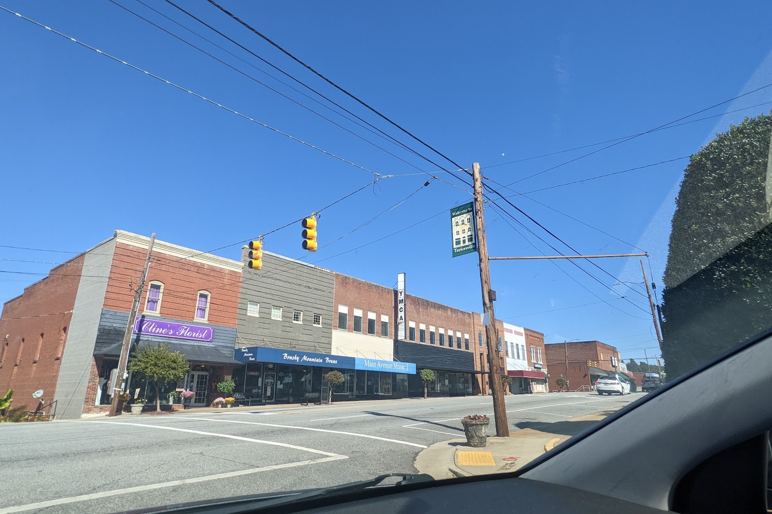 Alexander Animal Action League