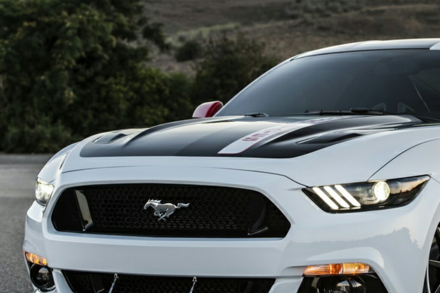 King City Animal Control