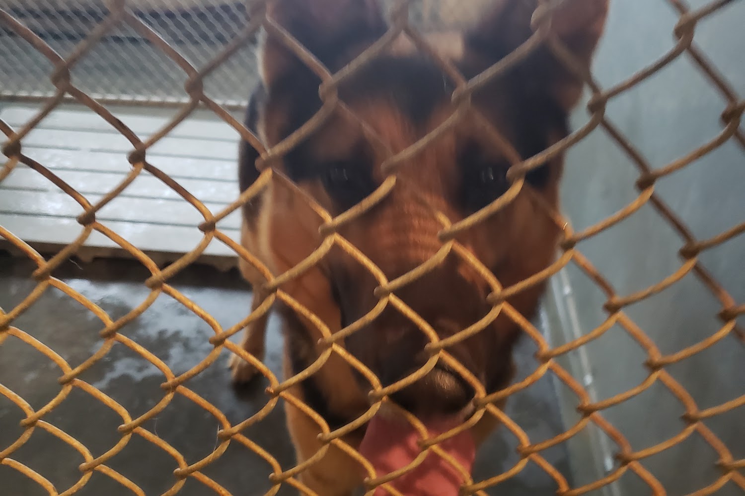 Robeson County Animal Center