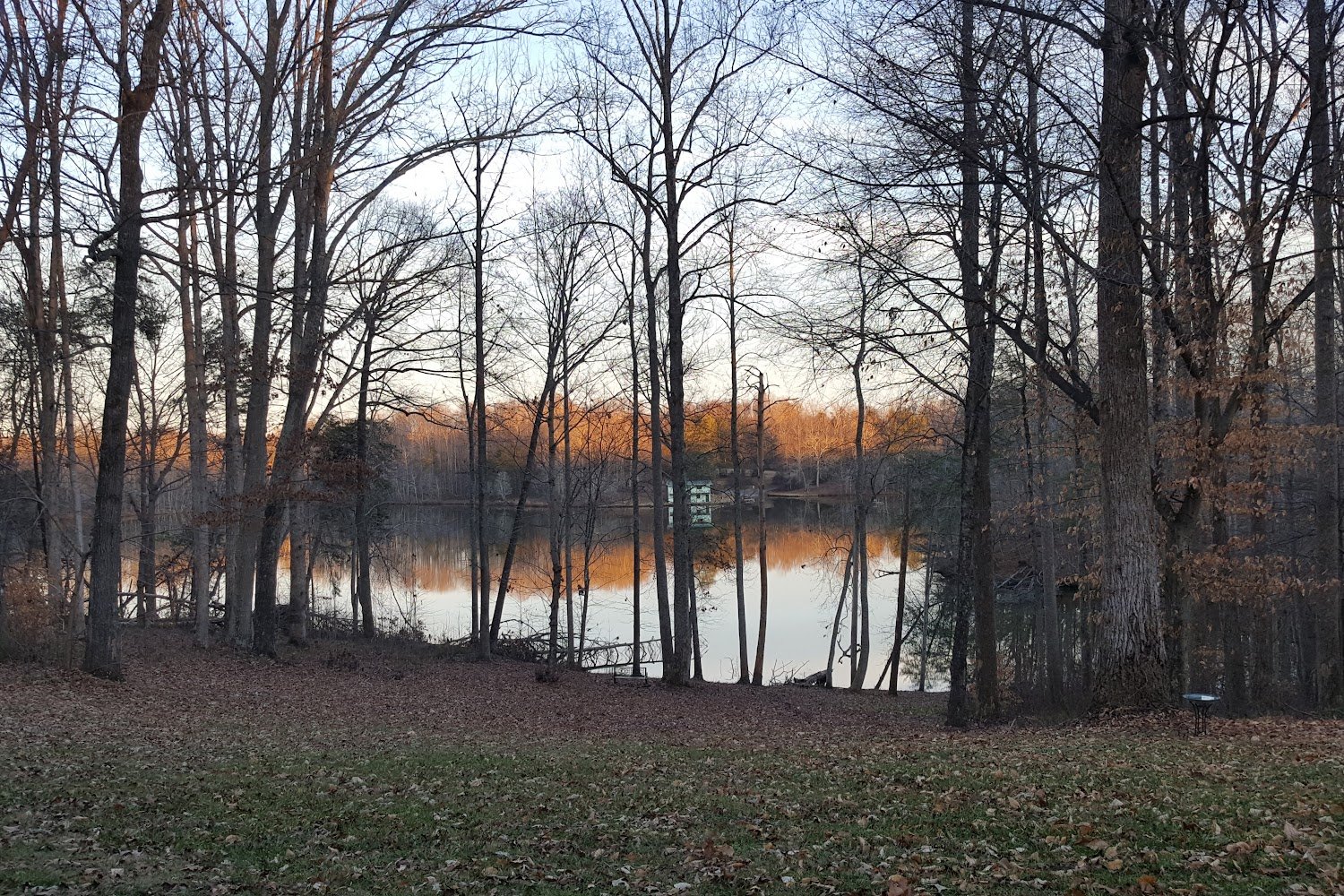 Rockingham County Animal Welfare Society