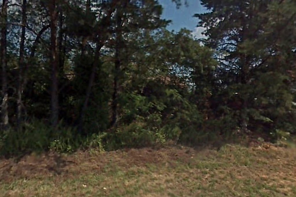 Stokes County Animal Shelter