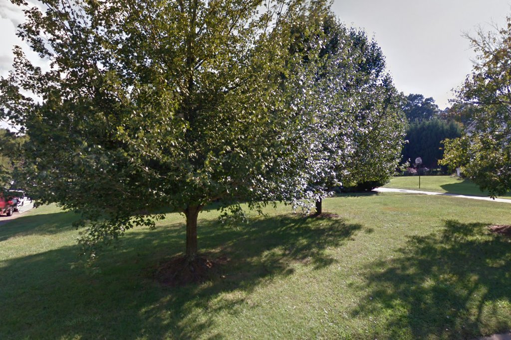 Catering to Cats and Dogs, Inc.