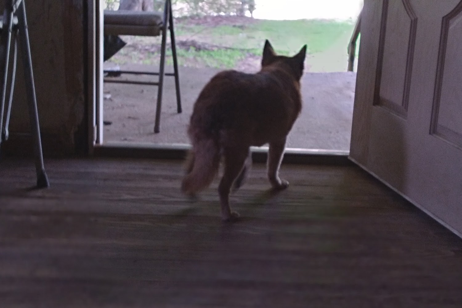 Madison County Animal Shelter