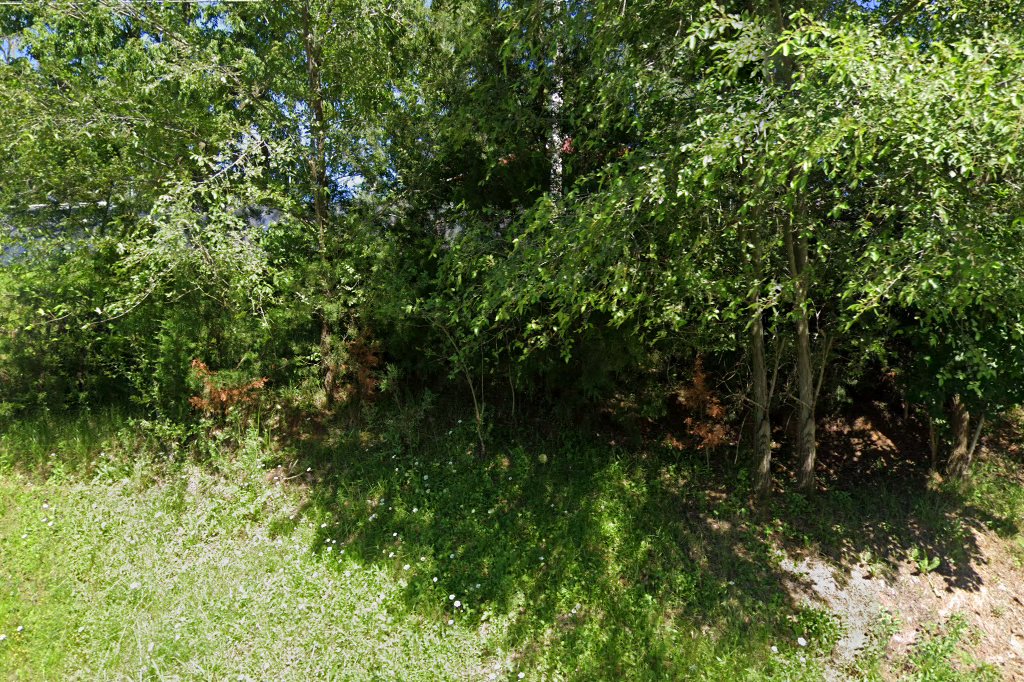 D-D Farm - Animal Sanctuary and Rescue