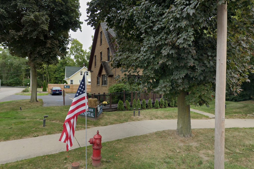 Riverside Cat Hospital