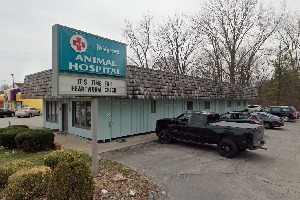 Bridgeport Animal Hospital