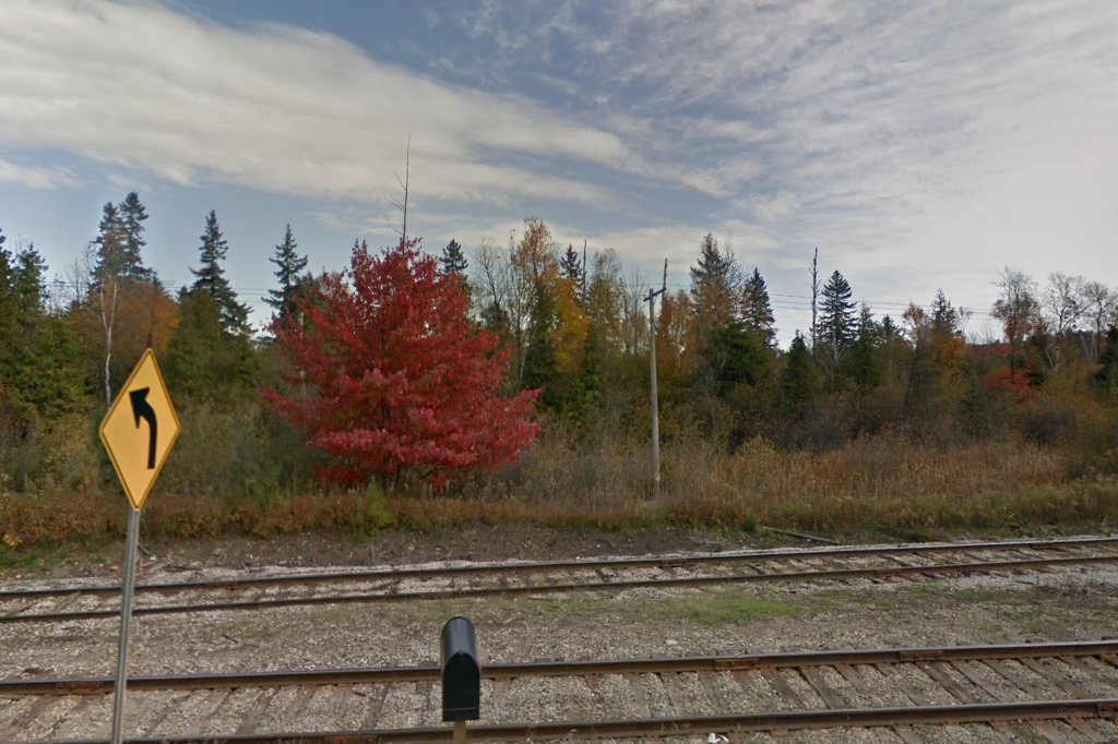 Delta County Animal Shelter