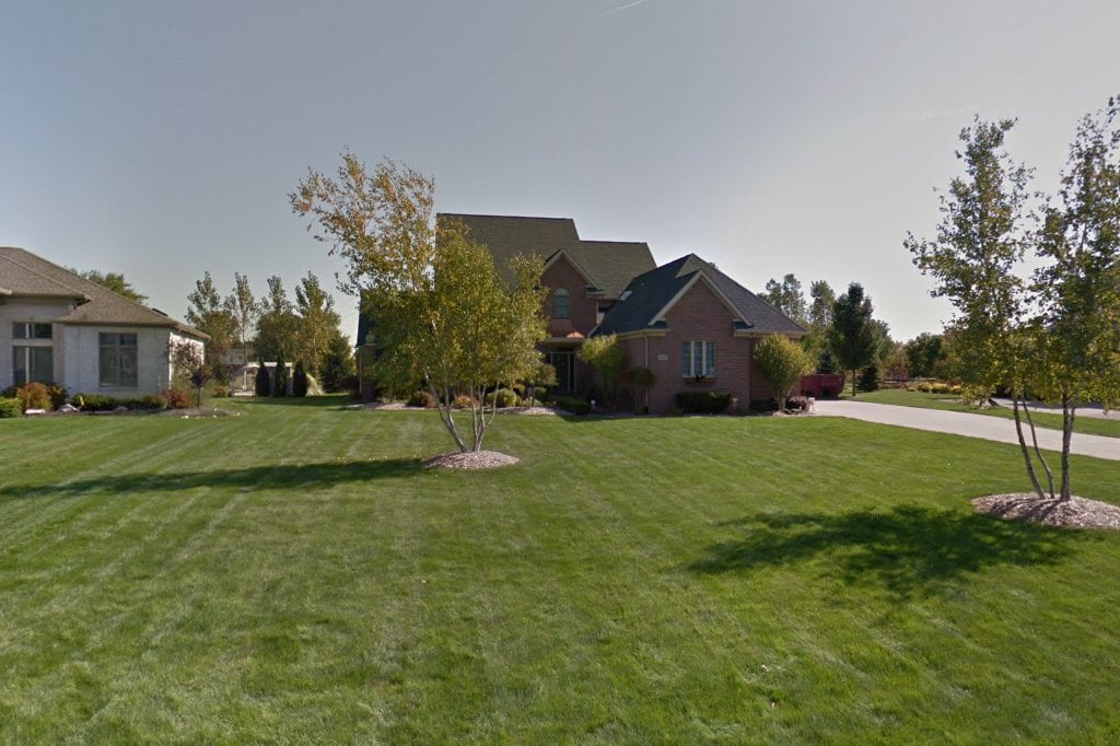 Alliance for Spay-Neuter & Pet Rescue