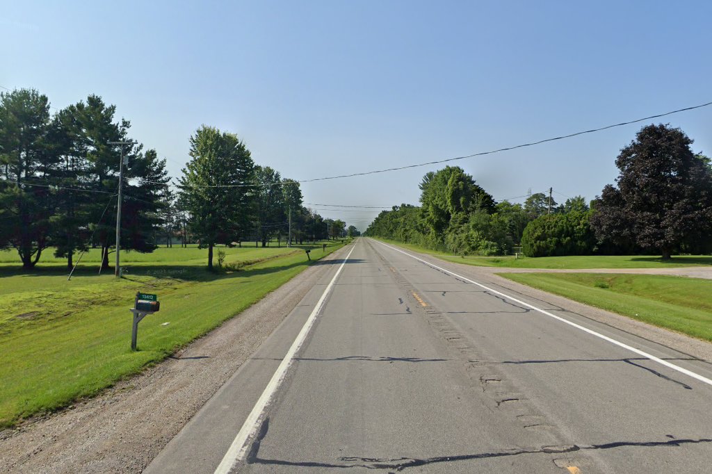 German Shorthaired Pointer Rescue of Michigan