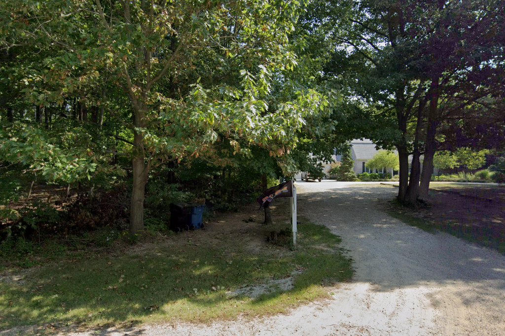 Diamond Springs Boxer Rescue