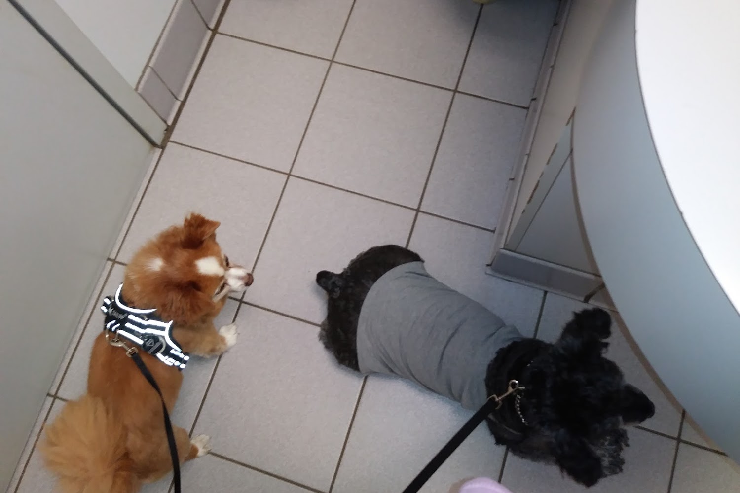 Union Cross Animal Hospital