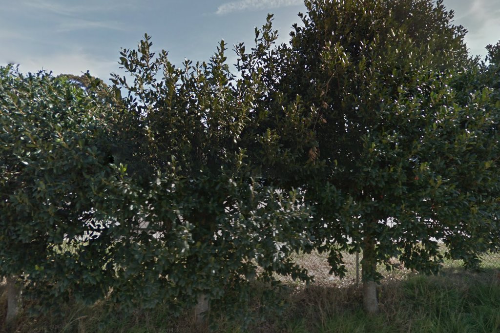 Vets For Pets Animal Hospital