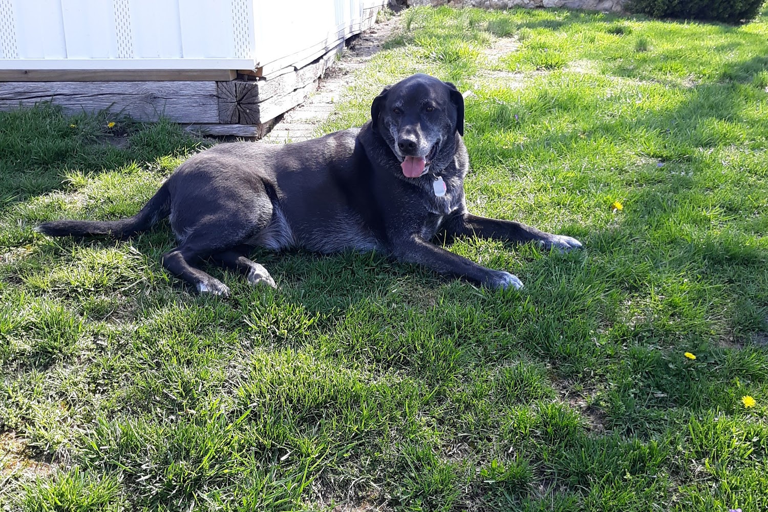 Sullivan Veterinary Hospital