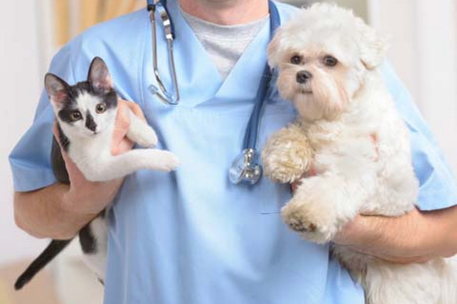 Eastside Veterinary Hospital