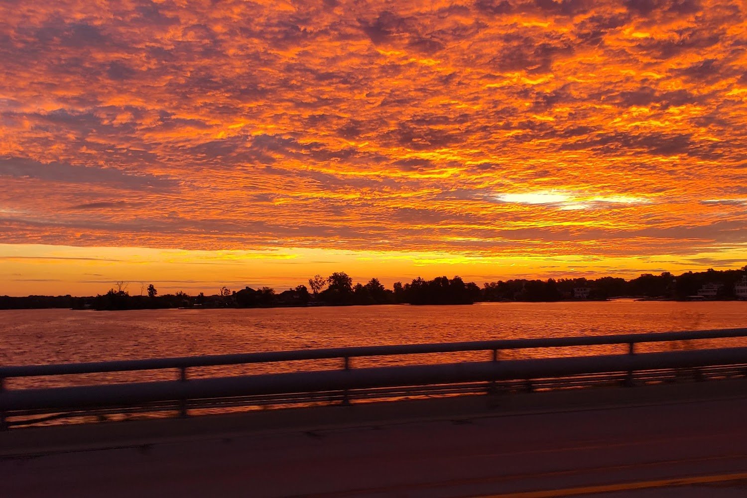 Log Cabin Animal Hospital