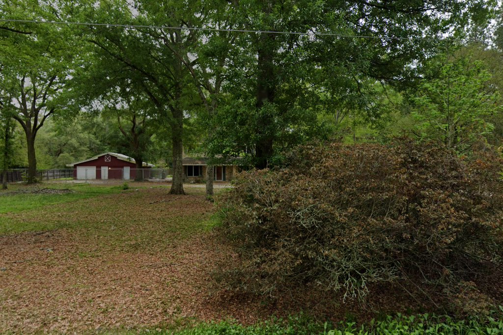 Collie Rescue of South Louisiana, Inc.