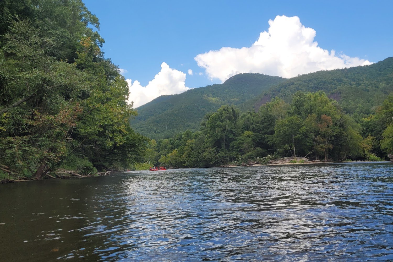 Tails a' Waggin' Rescue, Inc