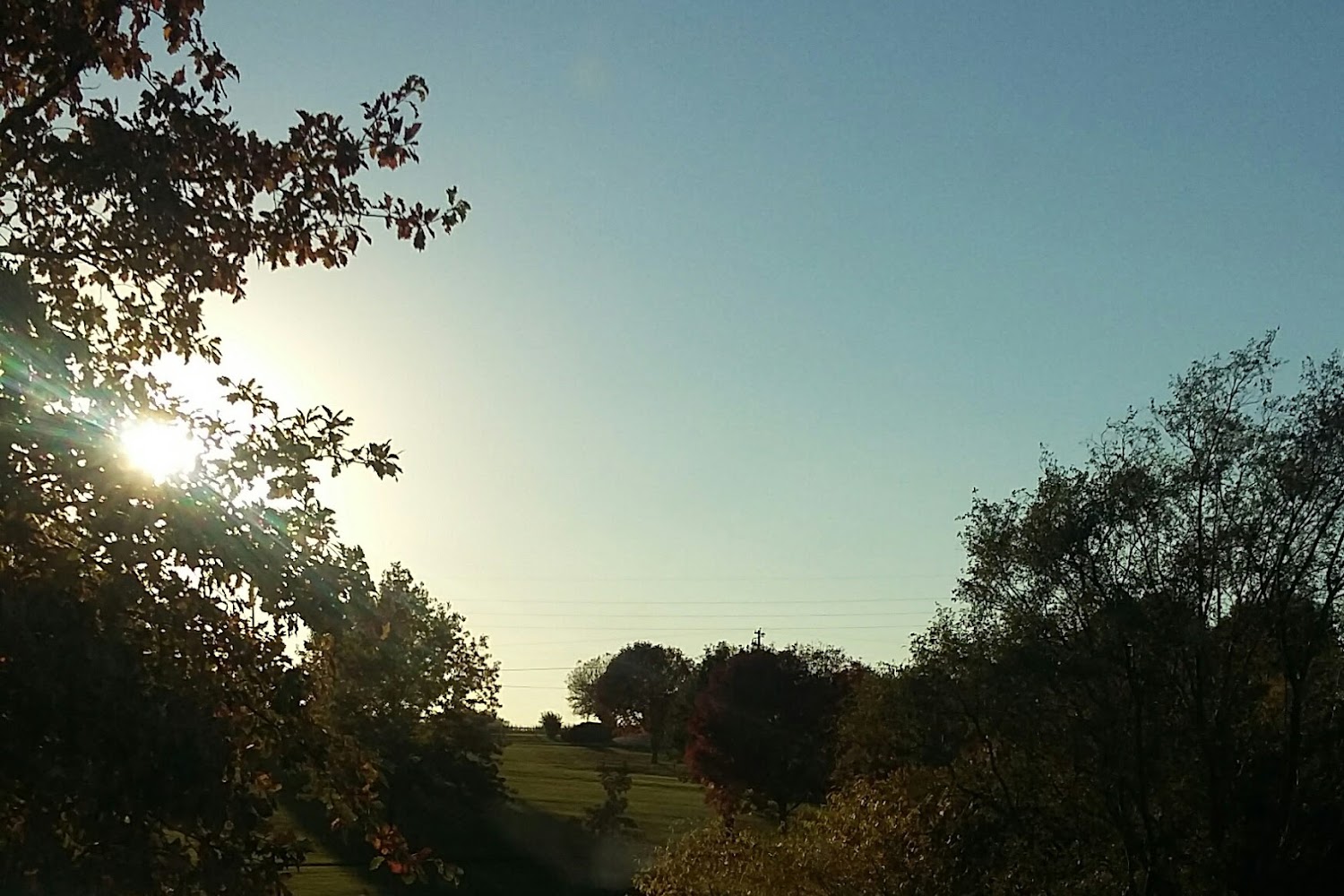 Helping Hand Animal Care