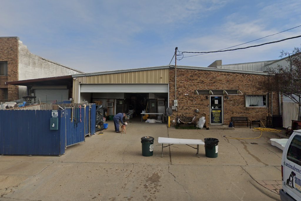 New Orleans Animal Control
