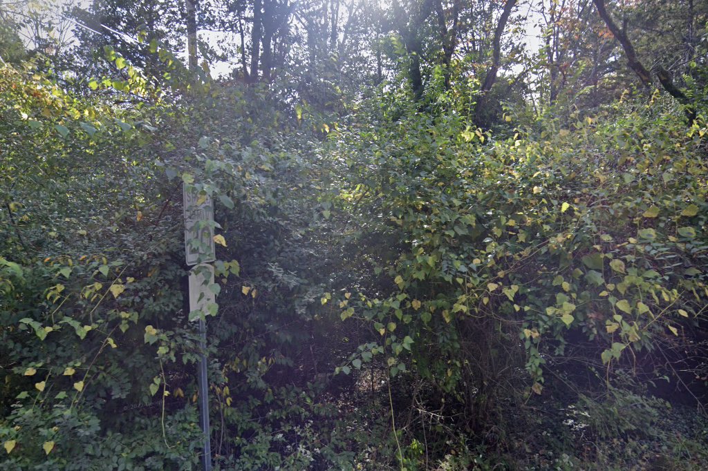 Bow Wows Hotel Shelter